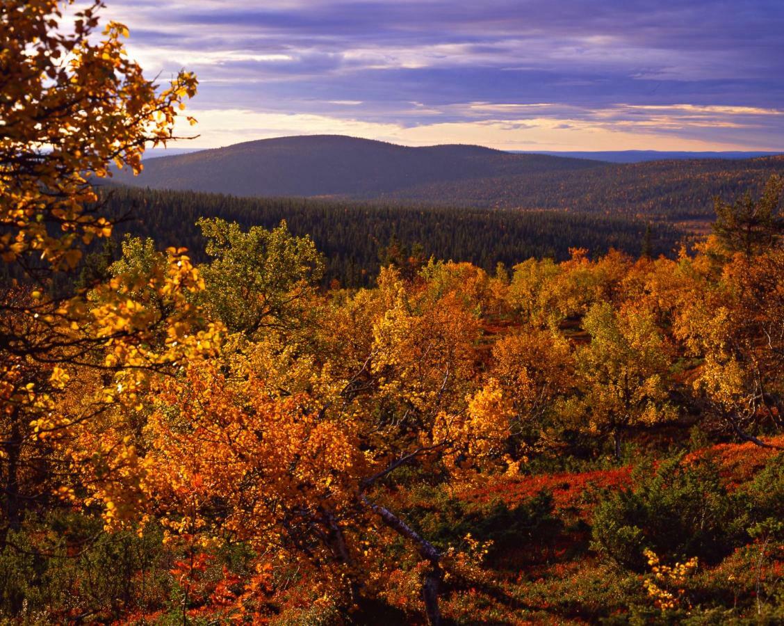 Lapland Hotels Yllaeskaltio Äkäslompolo Dış mekan fotoğraf